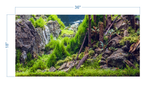 Load image into Gallery viewer, Aquarium Background Planted Aquarium Forest - vinyl graphic adhesive AQ0046
