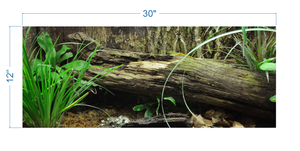 Terrarium Background Tropical Environment - vinyl graphic adhesive TR0005