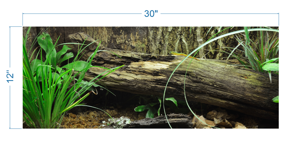 Terrarium Background Tropical Environment - vinyl graphic adhesive TR0005