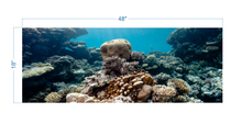 Load image into Gallery viewer, Aquarium Background Coral - vinyl graphic adhesive AQ0058
