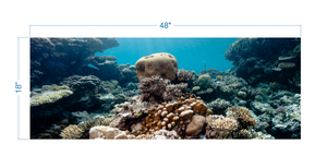 Aquarium Background Coral - vinyl graphic adhesive AQ0058