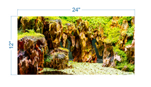Load image into Gallery viewer, Terrarium Background Stones and Plants - vinyl graphic adhesive TR0007
