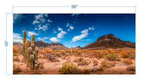 Terrarium Background Desert Landscape v2 - vinyl graphic adhesive TR0003