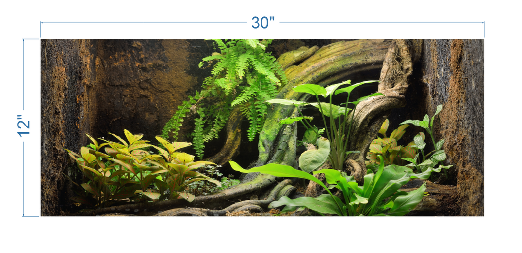 Terrarium Background Tropical Environment 2 - vinyl graphic adhesive TR0006