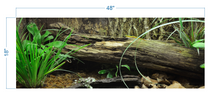 Load image into Gallery viewer, Terrarium Background Tropical Environment - vinyl graphic adhesive TR0005
