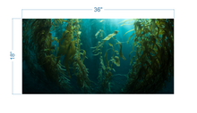Load image into Gallery viewer, Aquarium Background Kelp Forest - vinyl graphic adhesive AQ0051
