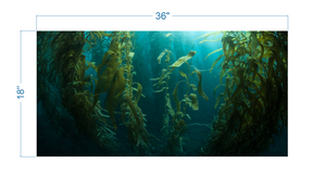 Aquarium Background Kelp Forest - vinyl graphic adhesive AQ0051