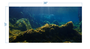Aquarium Background Underwater Ocean - vinyl graphic adhesive AQ0047
