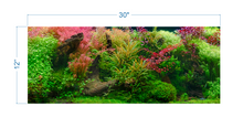 Load image into Gallery viewer, Aquarium Background Tropical Jungle - vinyl graphic adhesive AQ0052
