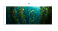Load image into Gallery viewer, Aquarium Background Kelp Forest - vinyl graphic adhesive AQ0051
