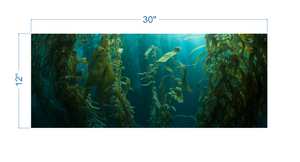Aquarium Background Kelp Forest - vinyl graphic adhesive AQ0051