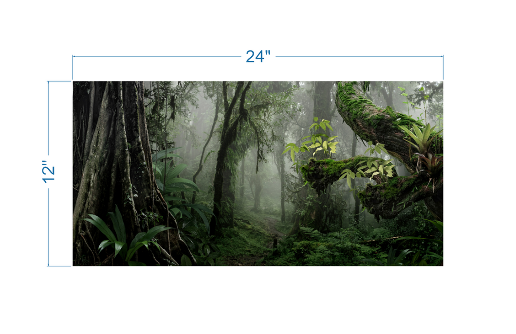 Terrarium Background Tropical forest - vinyl graphic adhesive TR0014