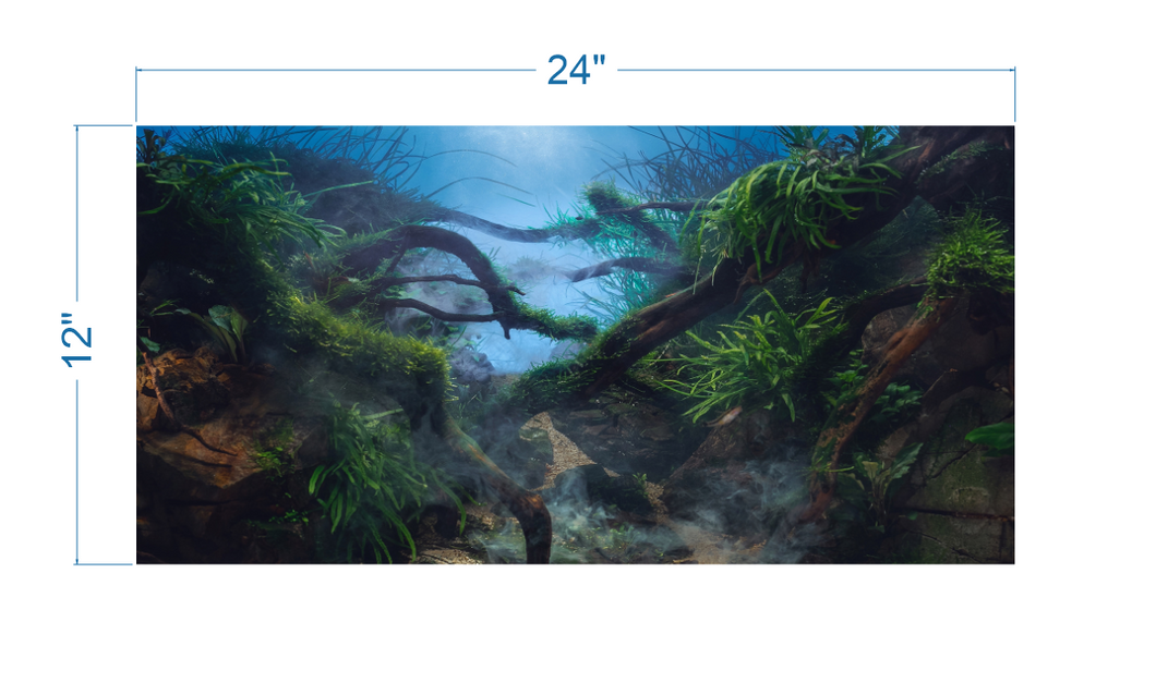 Aquarium Background Mystical Tropical Jungle - vinyl graphic adhesive AQ0053