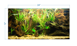 Tropical Aquarium Background - vinyl graphic adhesive AQ0057