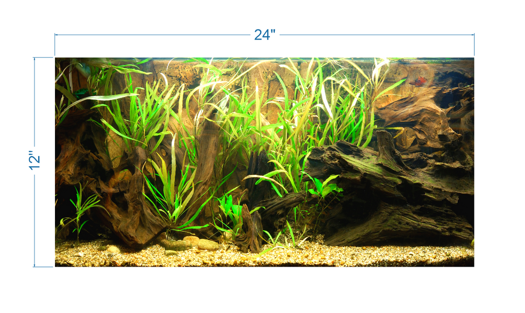 Tropical Aquarium Background - vinyl graphic adhesive AQ0057