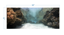 Load image into Gallery viewer, Aquarium Background Coral in the Ocean - vinyl graphic adhesive AQ0059
