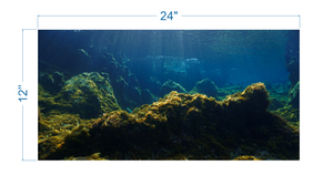 Aquarium Background Underwater Ocean - vinyl graphic adhesive AQ0047