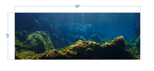 Load image into Gallery viewer, Aquarium Background Underwater Ocean - vinyl graphic adhesive AQ0047
