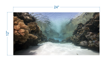Load image into Gallery viewer, Aquarium Background Coral in the Ocean - vinyl graphic adhesive AQ0059
