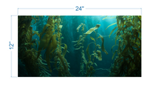 Load image into Gallery viewer, Aquarium Background Kelp Forest - vinyl graphic adhesive AQ0051
