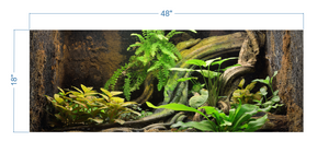 Terrarium Background Tropical Environment 2 - vinyl graphic adhesive TR0006