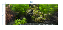 Load image into Gallery viewer, Aquarium Background Planted Aquarium Tropical 6 - vinyl graphic adhesive AQ0048
