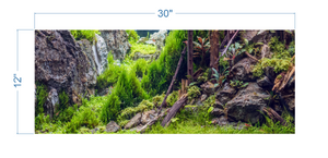 Aquarium Background Planted Aquarium Forest - vinyl graphic adhesive AQ0046