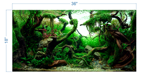 Aquarium Background Tropical Aquascape - vinyl graphic adhesive AQ0036