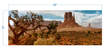 Load image into Gallery viewer, Terrarium Background Desert Landscape - vinyl graphic adhesive TR0001

