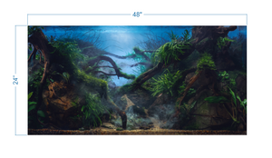 Aquarium Background Mystical Tropical Jungle - vinyl graphic adhesive AQ0053