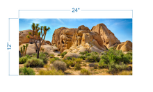 Load image into Gallery viewer, Terrarium Background Rocks and Tree - vinyl graphic adhesive TR0008
