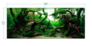 Aquarium Background Tropical Aquascape - vinyl graphic adhesive AQ0036