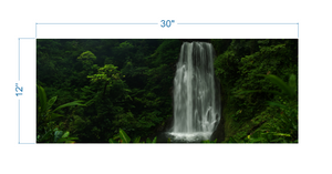 Terrarium Background Waterfall in the jungle - vinyl graphic adhesive TR0011