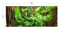 Load image into Gallery viewer, Terrarium Background Tropical Biotope - vinyl graphic adhesive TR0012
