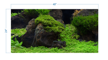 Load image into Gallery viewer, Aquarium Background Planted Aquarium Tropical 5 - vinyl graphic adhesive AQ0050
