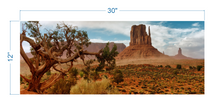Load image into Gallery viewer, Terrarium Background Desert Landscape - vinyl graphic adhesive TR0001
