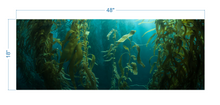 Load image into Gallery viewer, Aquarium Background Kelp Forest - vinyl graphic adhesive AQ0051
