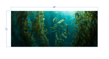 Load image into Gallery viewer, Aquarium Background Kelp Forest - vinyl graphic adhesive AQ0051
