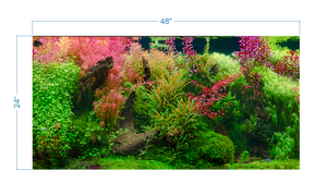 Aquarium Background Tropical Jungle - vinyl graphic adhesive AQ0052