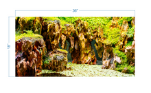 Load image into Gallery viewer, Terrarium Background Stones and Plants - vinyl graphic adhesive TR0007

