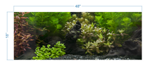 Load image into Gallery viewer, Aquarium Background Planted Aquarium Tropical 6 - vinyl graphic adhesive AQ0048
