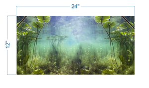 Aquarium Background Water Lily, Underwater Pound - vinyl graphic adhesive AQ0039