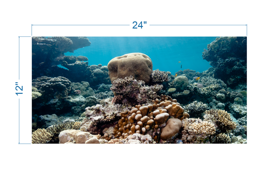 Aquarium Background Coral - vinyl graphic adhesive AQ0058