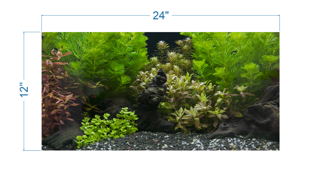 Aquarium Background Planted Aquarium Tropical 6 - vinyl graphic adhesive AQ0048