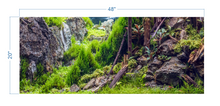 Load image into Gallery viewer, Aquarium Background Planted Aquarium Forest - vinyl graphic adhesive AQ0046
