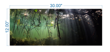 Load image into Gallery viewer, Aquarium Background Underwater Forest - vinyl graphic adhesive AQ0016
