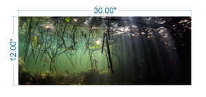 Aquarium Background Underwater Forest - vinyl graphic adhesive AQ0016