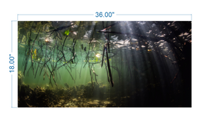 Aquarium Background Underwater Forest - vinyl graphic adhesive AQ0016