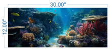 Load image into Gallery viewer, Aquarium Background Underwater Ocean 2  - vinyl graphic adhesive AQ0026
