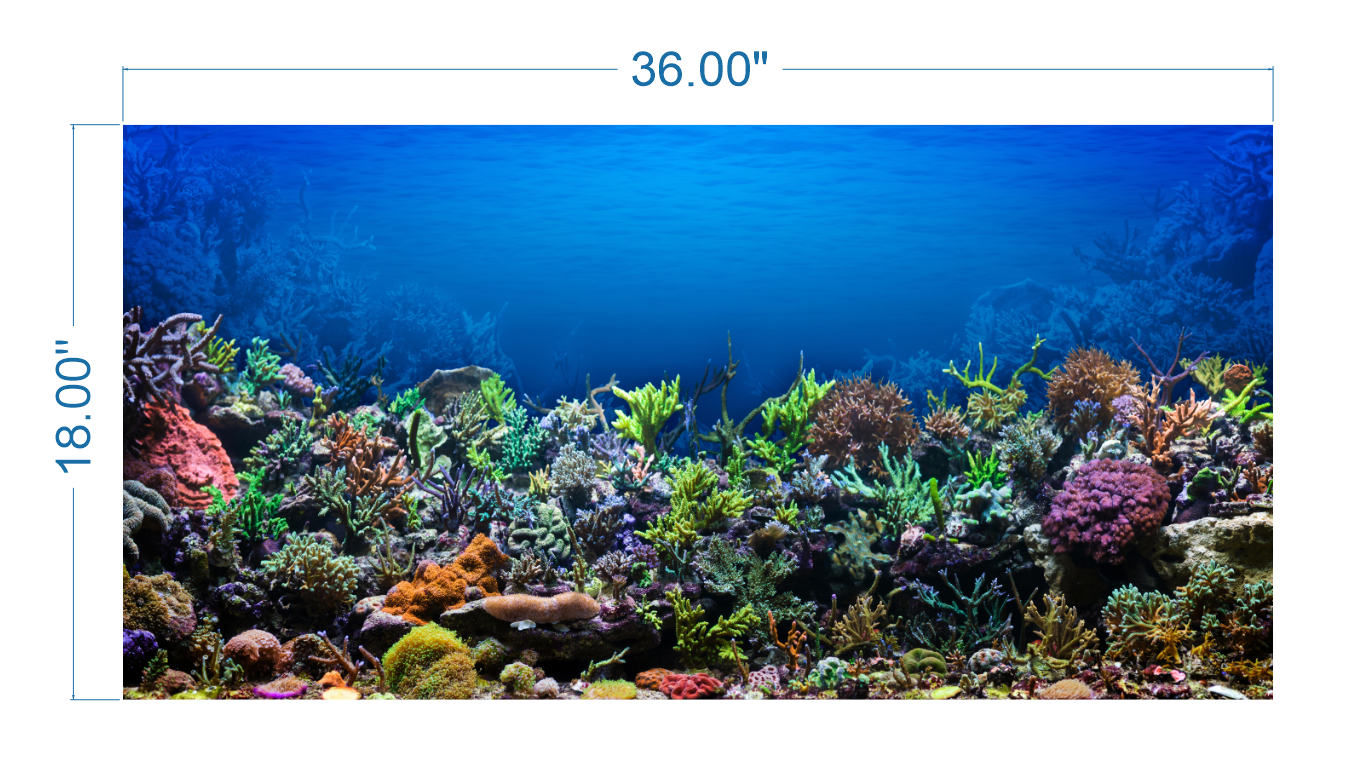 Fish Tank Backgrounds Printable